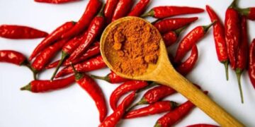 Red Chili