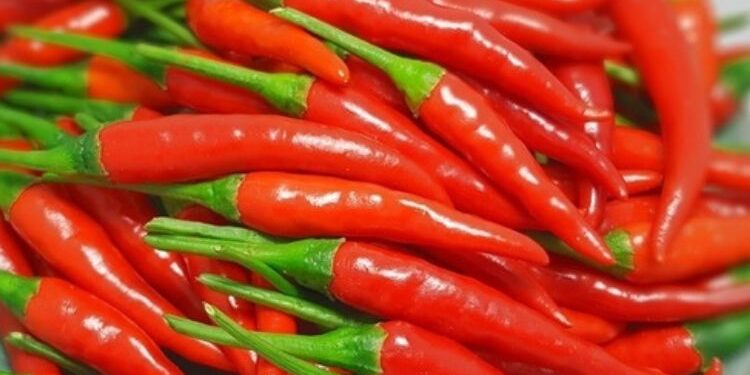 Unveiling The Fiery Wonders: Red Chilli – Uses, Benefits, And Side Effects