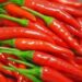 Unveiling The Fiery Wonders: Red Chilli – Uses, Benefits, And Side Effects