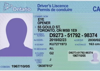 The Dark Side Of Fake ID Websites: Unmasking The Risks And Consequences