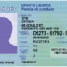 The Dark Side Of Fake ID Websites: Unmasking The Risks And Consequences