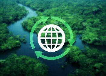 The Future of Plastics: Sustainable Materials That Are Here to Stay