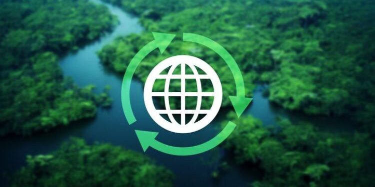 The Future of Plastics: Sustainable Materials That Are Here to Stay