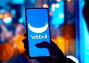 Stonk O Tracker Review