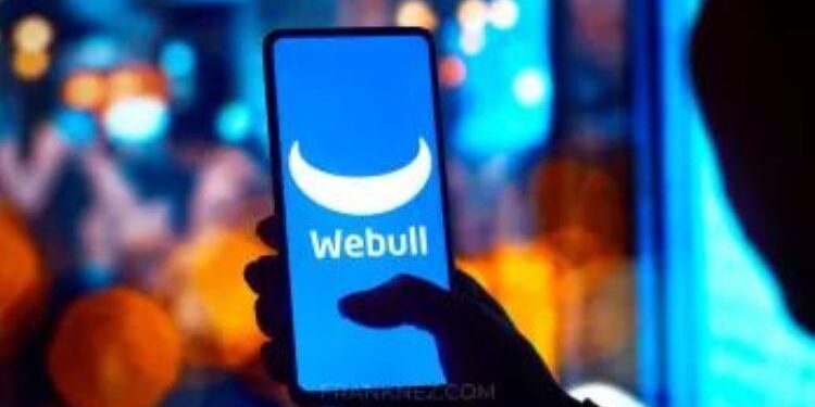 Stonk O Tracker Review