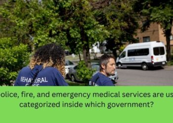 the police, fire, and emergency medical services are usually categorized inside which government