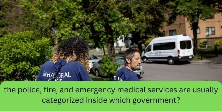 the police, fire, and emergency medical services are usually categorized inside which government