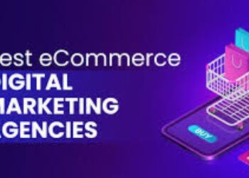Elevating your online business with digital marketing, web design, and e-commerce